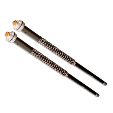 CARTUCHOS HORQUILLA RADIAL MIR RACING ANDREANI 4 N/mm 585mm