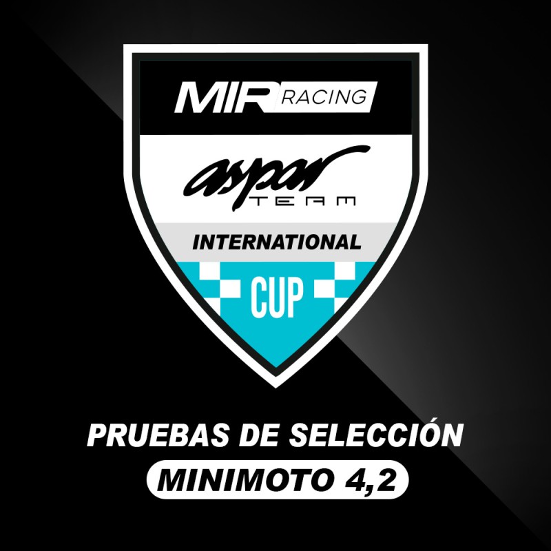 Prueba Selección Minimoto
